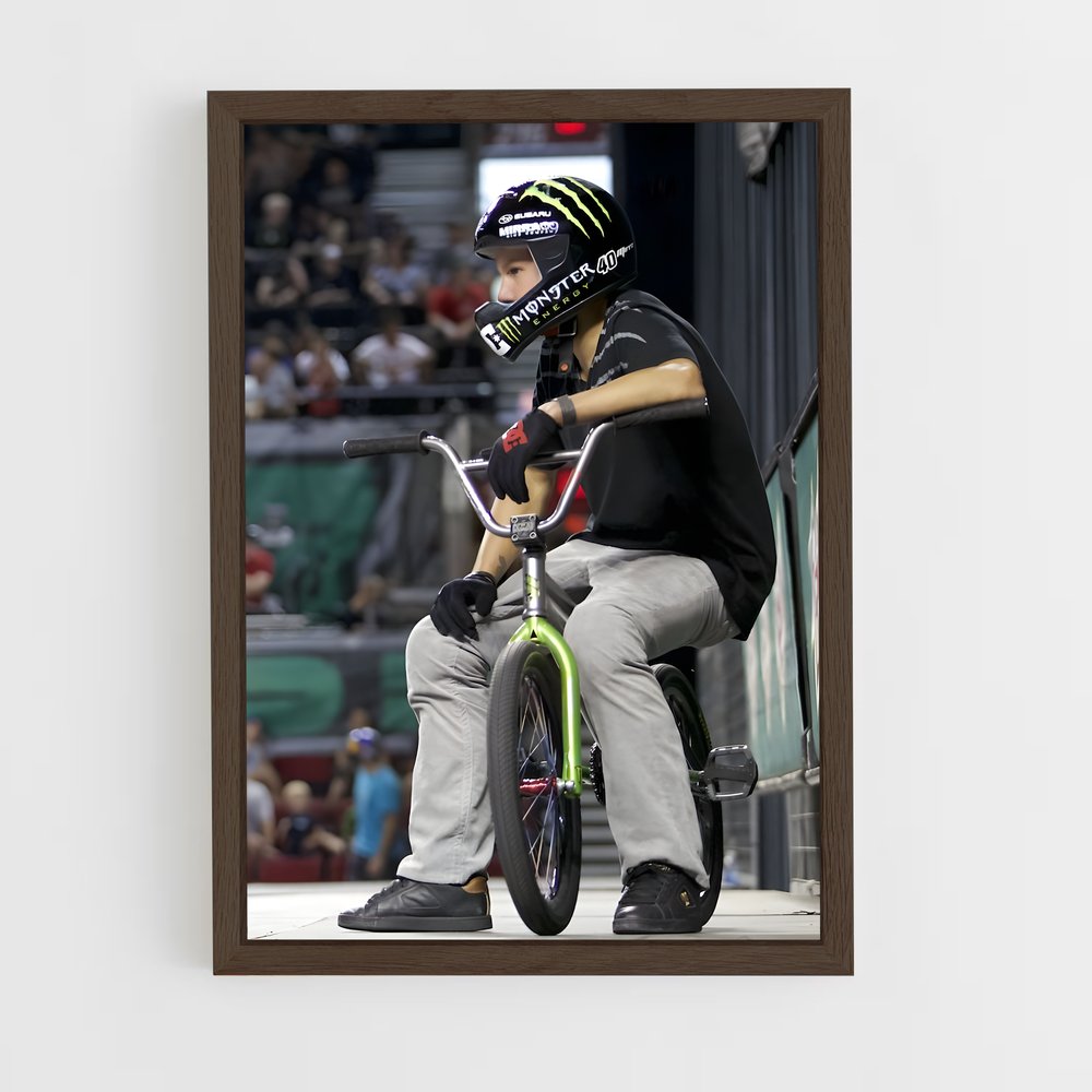 Poster BMX Thrills (vue 5)